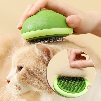 Cat Hair Brush