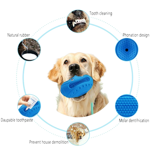 Pet Rubber Ball