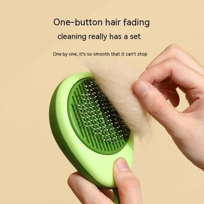 Cat Hair Brush