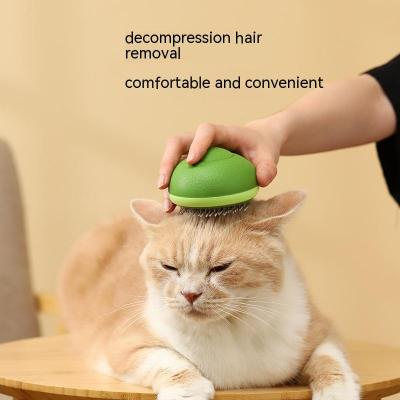 Cat Hair Brush