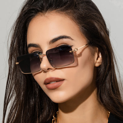 Large Frame Square sunglasses