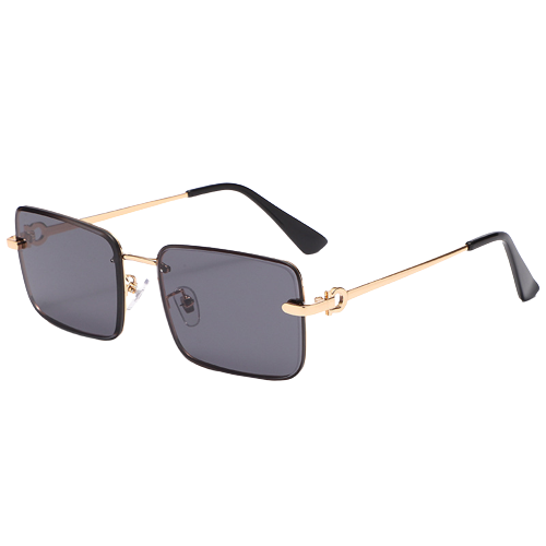 Large Frame Square sunglasses