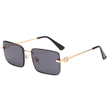 Large Frame Square sunglasses