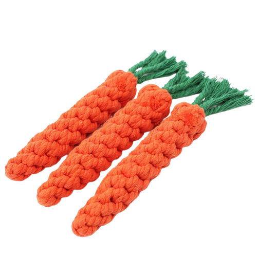 Carrot Chew Toy