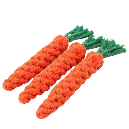 Carrot Chew Toy