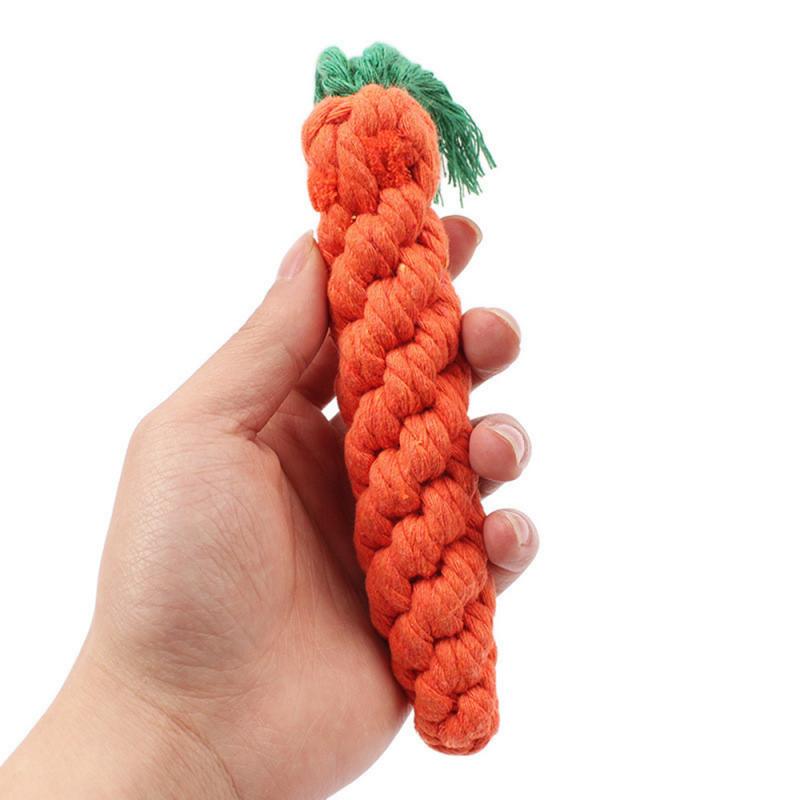 Carrot Chew Toy